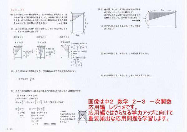 プロが教える 数学 中学 2年 DVD 3 一次関数 応用編 問題集 中２ 中学２年 中学校 復習 自宅学習 問題 教材 まとめ プリント 販売多数_画像2