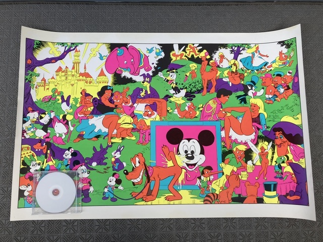 Disneyland Memorial Orgy セディショナリーズ ディズニーランド Disneyland Memorial Orgy セディショナリーズ ディズニーランド