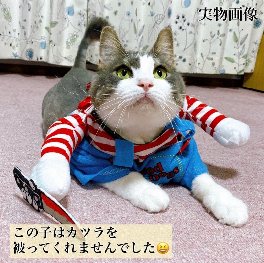 M ドッグウェア コスプレ ハロウィン 犬服 チャッキー ホラー 着ぐるみ 猫 猫服 クリスマス パーティー カツラ ボーダー 青