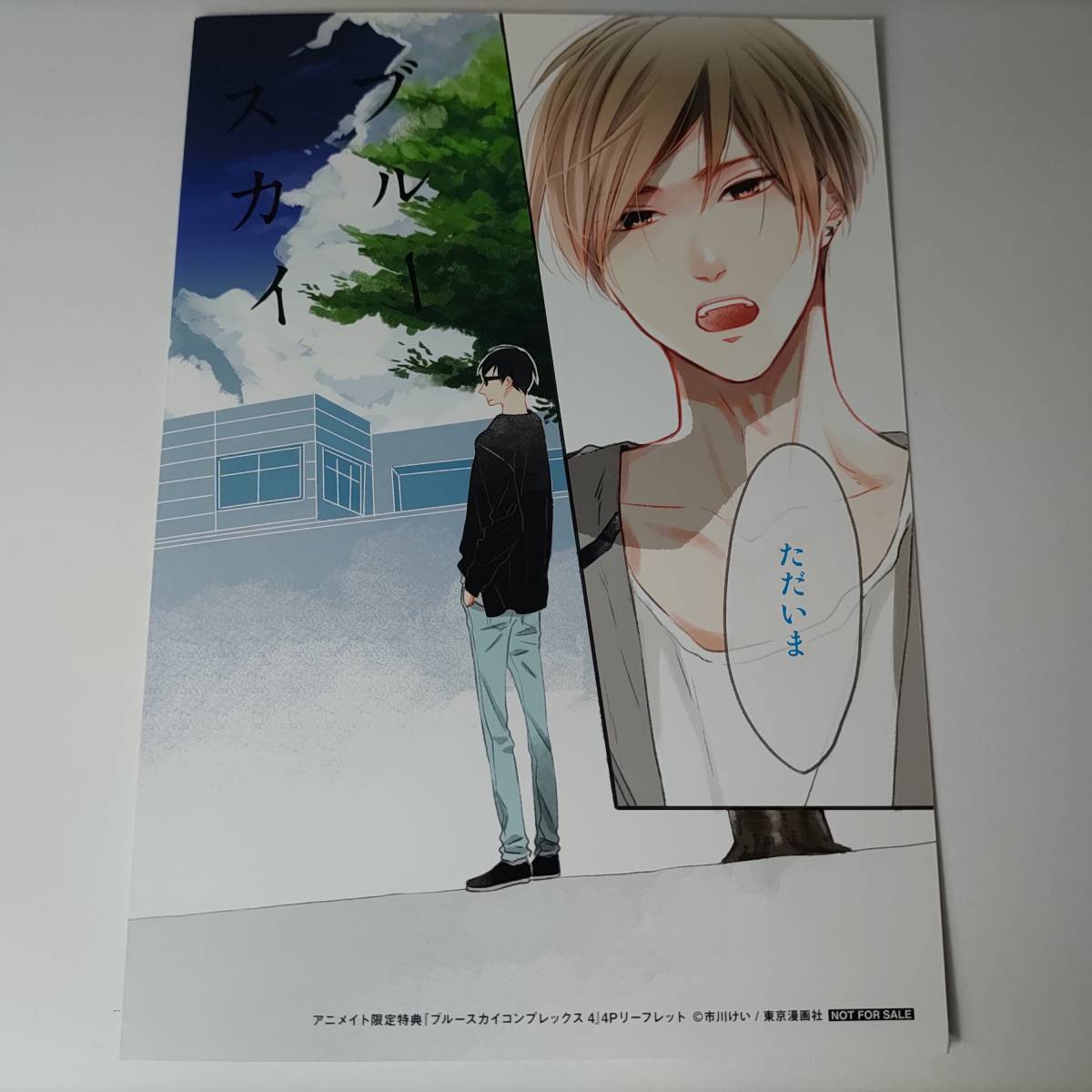 市川けい ブルースカイコンプレックス 4巻 初回限定小冊子付き 市川けい ブルースカイコンプレックス 4巻 初回限定小冊子付き