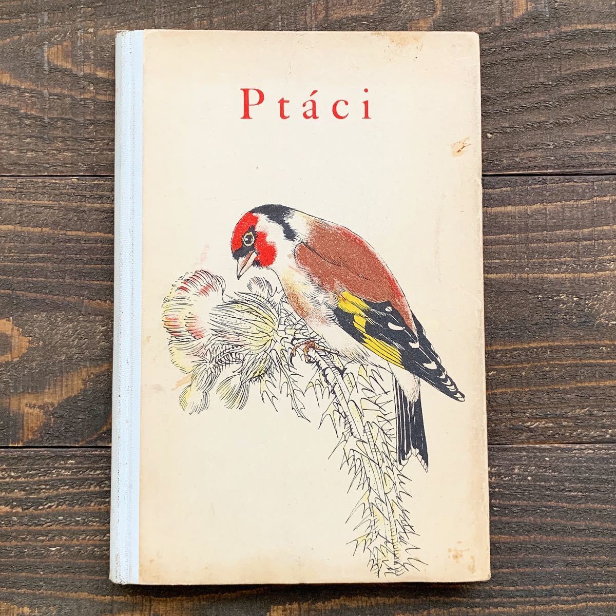 チェコの古い鳥類図鑑(Ptaci 1949年)/アンティーク ヴィンテージ ヨーロッパ 鳥図鑑 鳥のイラスト インテリア 洋書 雰囲気◎/