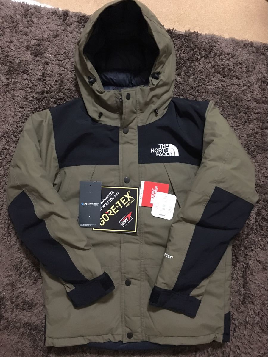 the north face mountain down jacket 