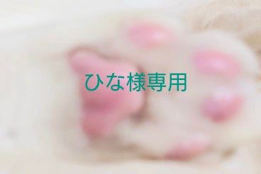 ひな様専用です｜Yahoo!フリマ（旧PayPayフリマ）