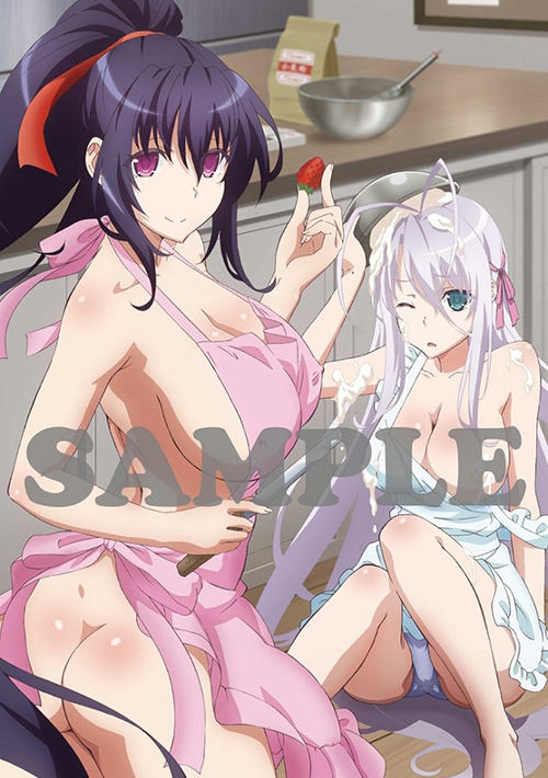 【25%OFF】 ハイスクールD×D HERO Blu-ray BOX ソフマップ/アニメガ 特典 姫島朱乃 & ロスヴァイセ アクリルジオラマ その他