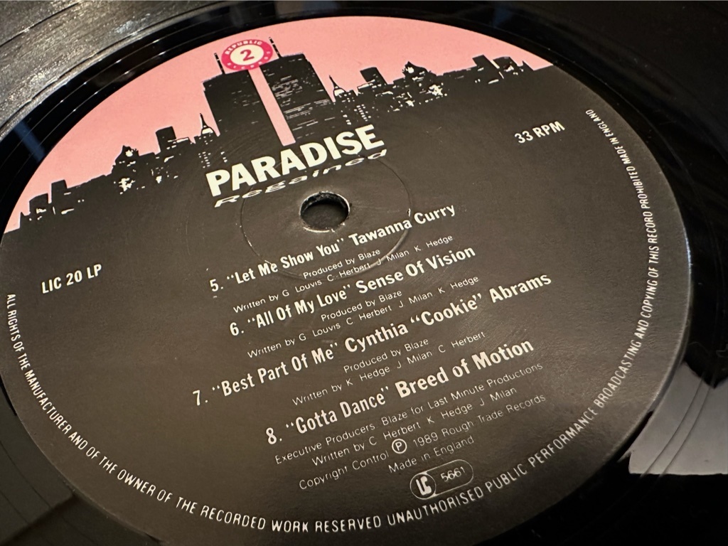 LP★Paradise Regained: The Garage Sound Of Deepest New York Vol. 2 / ヴォーカル・ハウス・クラシック！_画像5