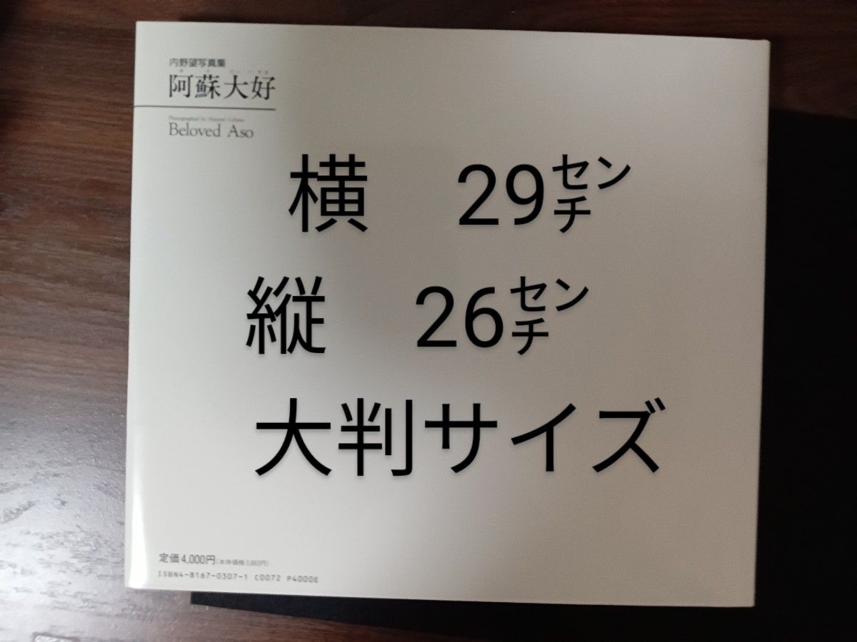 大判サイズの内野望写真集　阿蘇大好