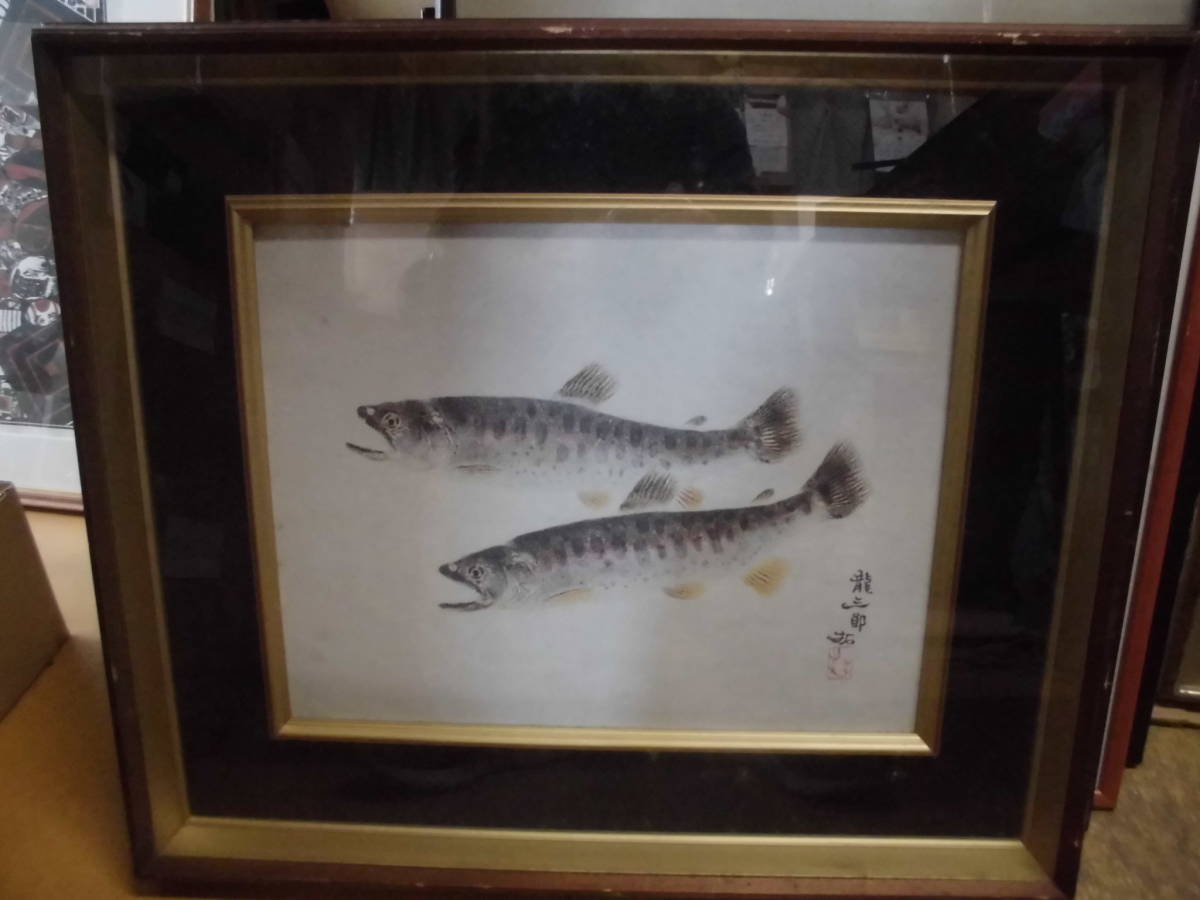 令ご8063木-絵画　魚　龍三郎　　約51×60cm