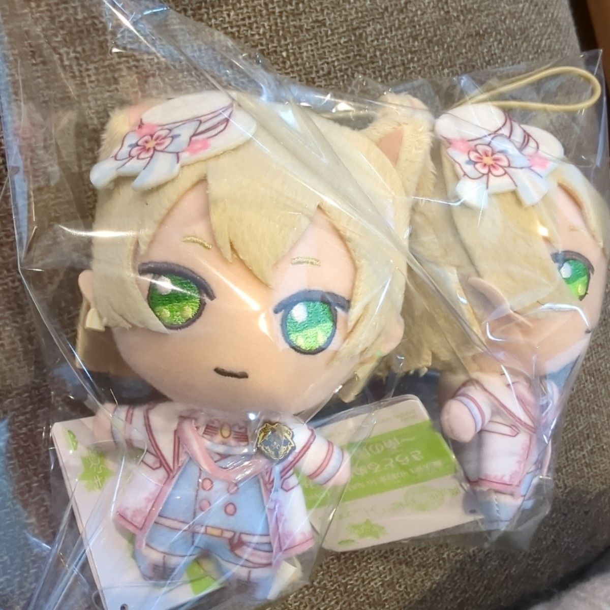 魔法使いの約束 まほやく きらどるぬいぐるみ ルチル 南の国二個セット