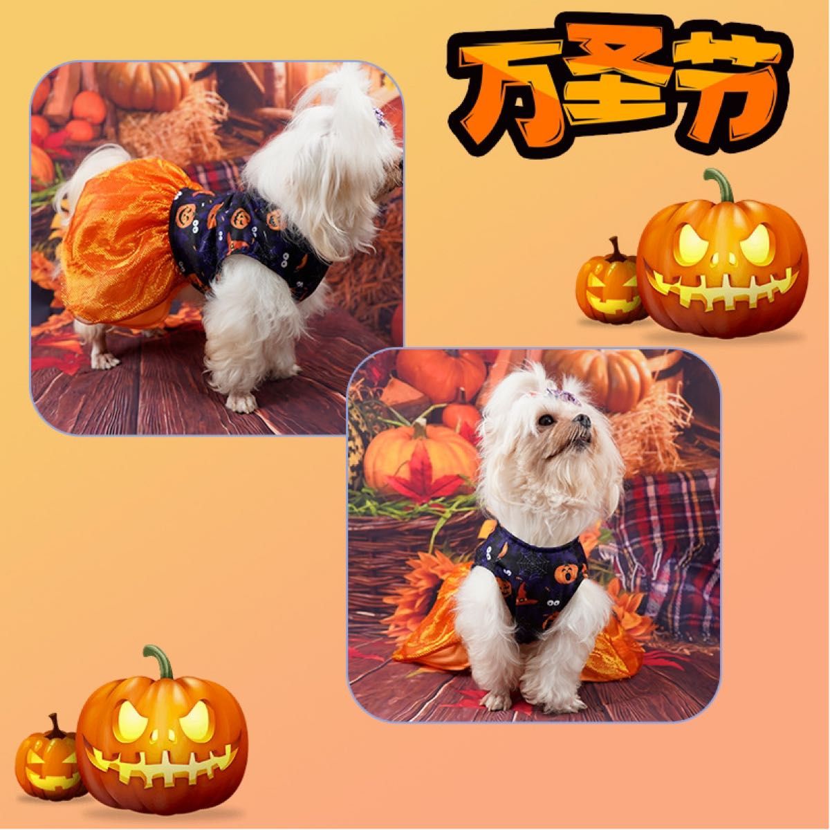 犬用 コスプレ 衣装 M ハロウィン 犬服 ドッグウェア 秋服 小型犬 仮装 犬服