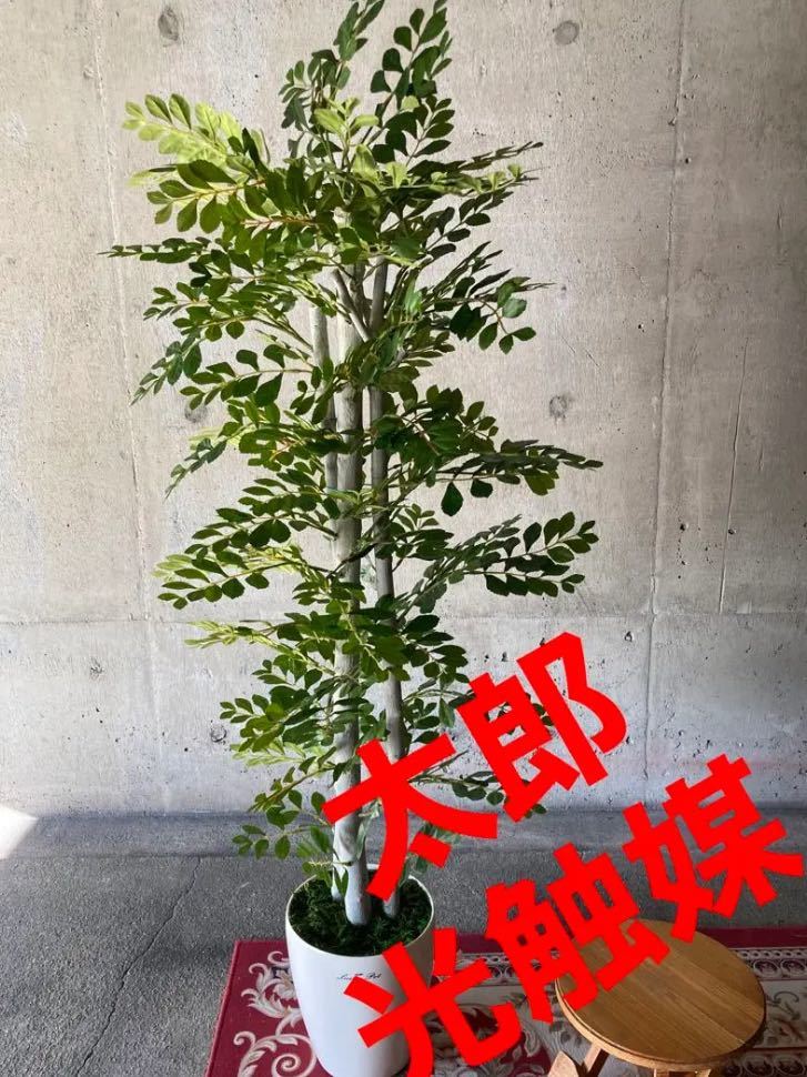 光触媒 人工観葉植物 ウォールグリーン フェイクグリーン 壁掛け855105-