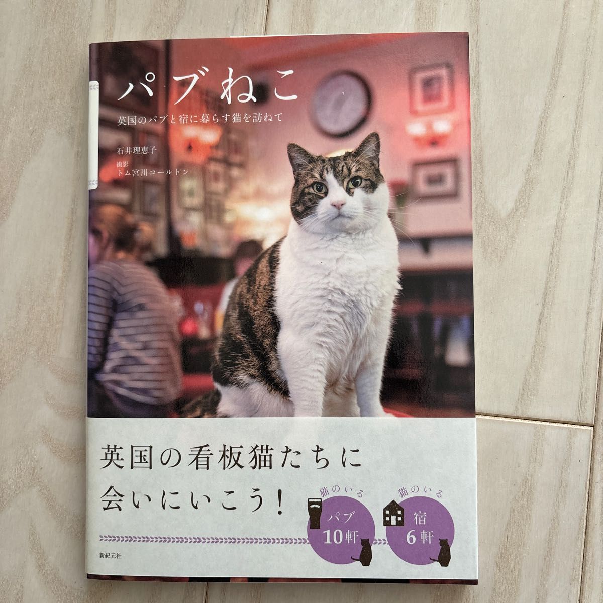 パブねこ　英国のパブと宿に暮らす猫を訪ねて 石井理恵子／執筆　トム宮川コールトン／撮影