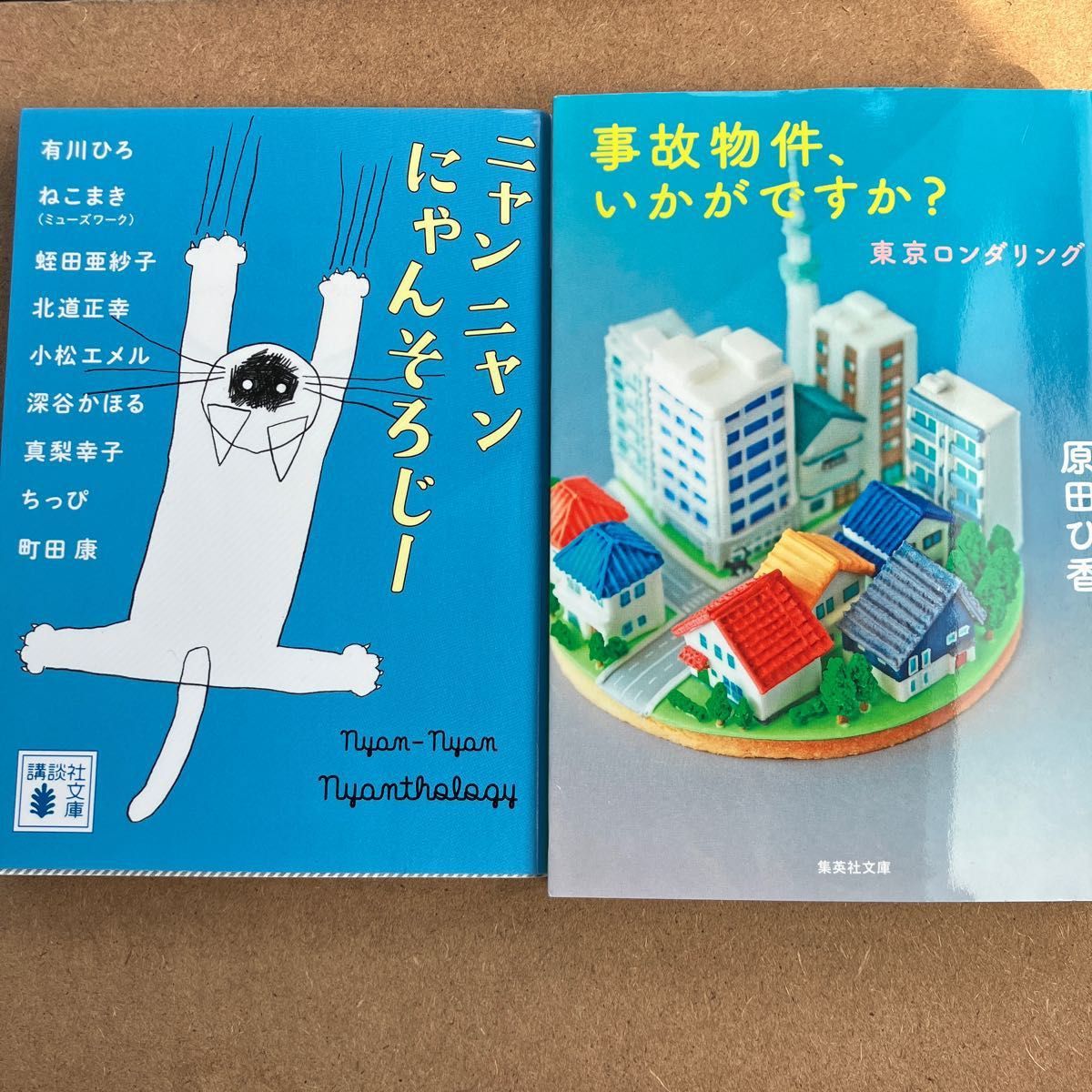 anp 様専用ページ（3冊） １１の秘密 ラスト・メッセージ 事故物件