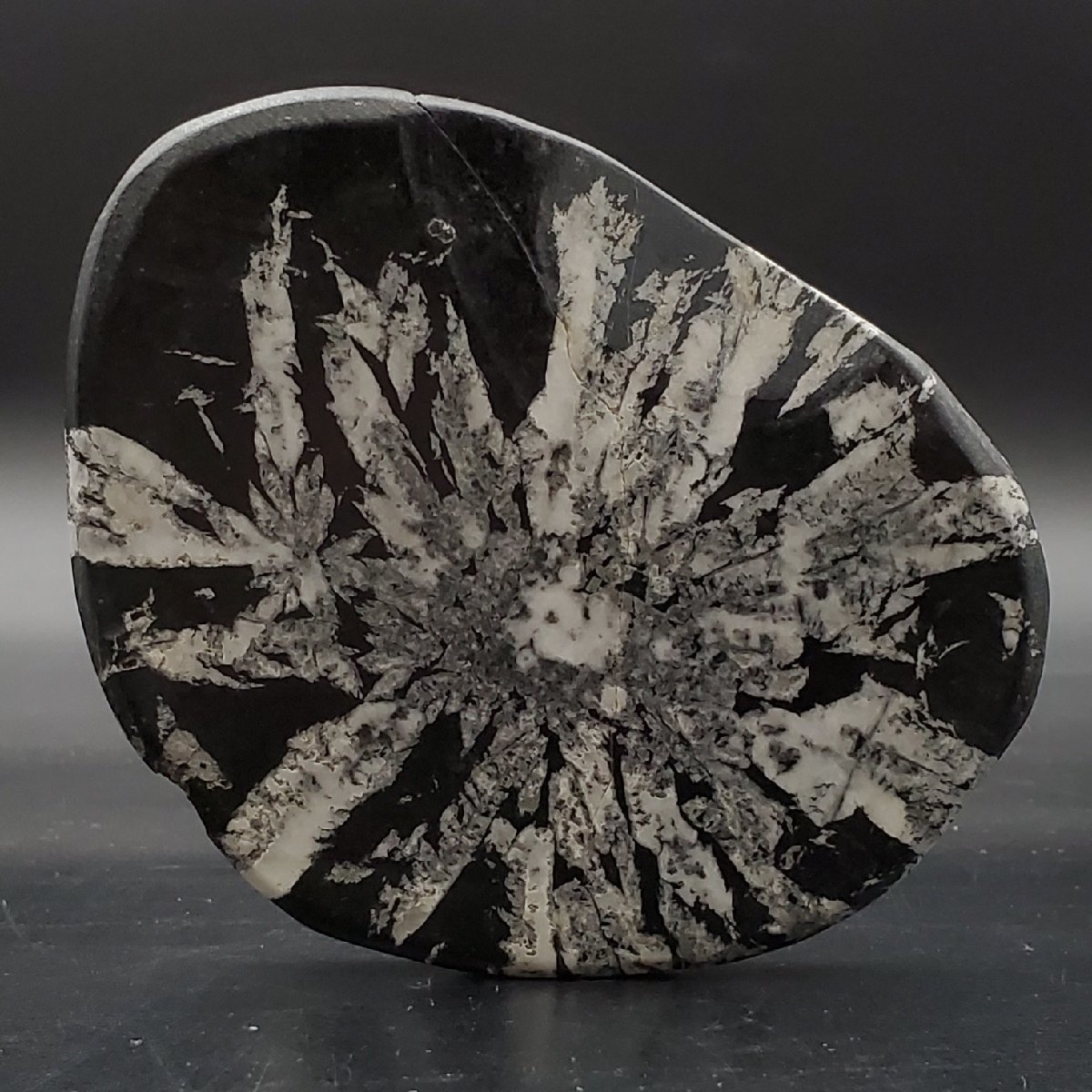 [. warehouse ] appreciation stone flower . stone white ... stone 511g slice suiseki st tray stone natural stone crack equipped 