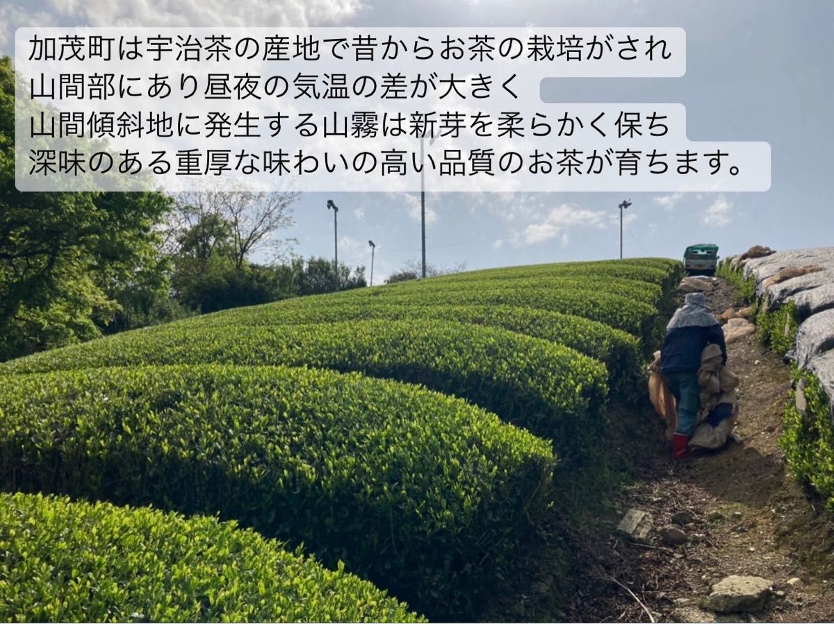＊無農薬お茶＊焙煎ほうじ玄米茶　茶葉　化学肥料不使用　宇治茶100% 2023年産