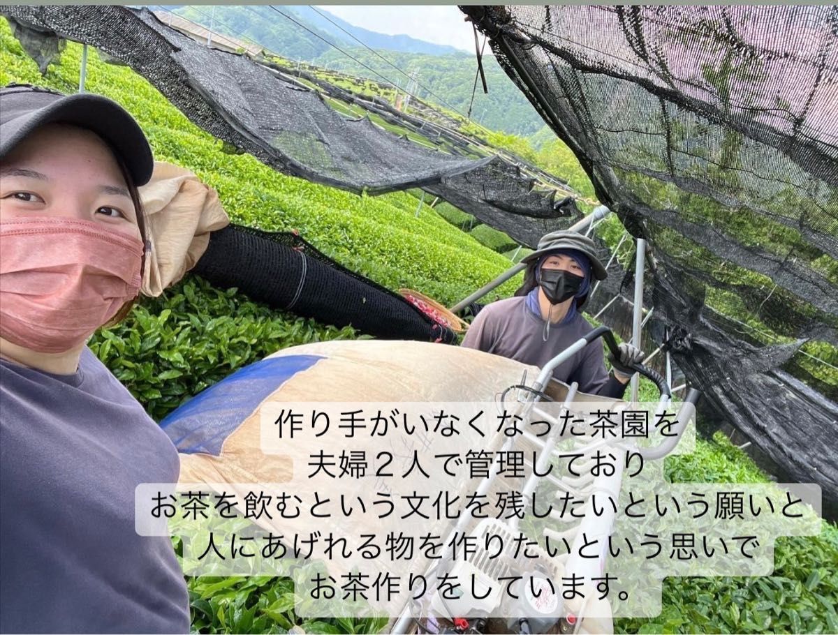 ＊無農薬お茶＊ 和紅茶　茶葉　化学肥料・除草剤・畜産堆肥不使用