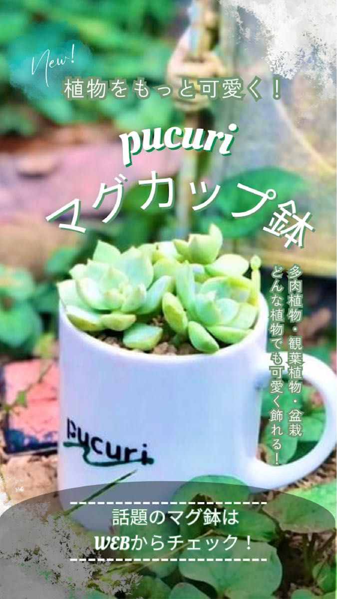 マグカップ鉢(レッド)　植木鉢　底穴あり　鉢底ネット付属