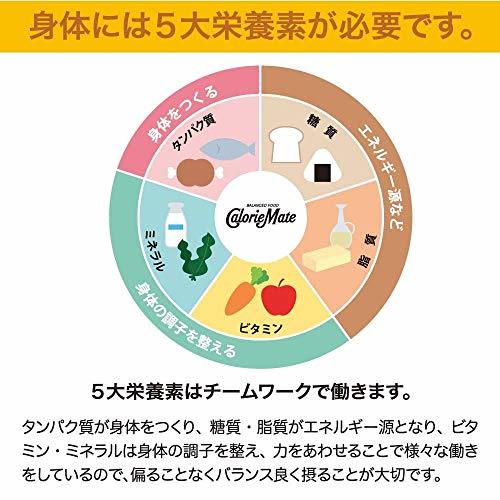 大塚製薬 カロリーメイト ブロック チョコレート 4本 ×9個_画像2