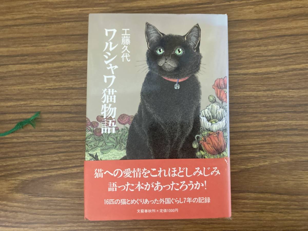 ワルシャワ猫物語　工藤久代　文藝春秋　 /Z_画像1