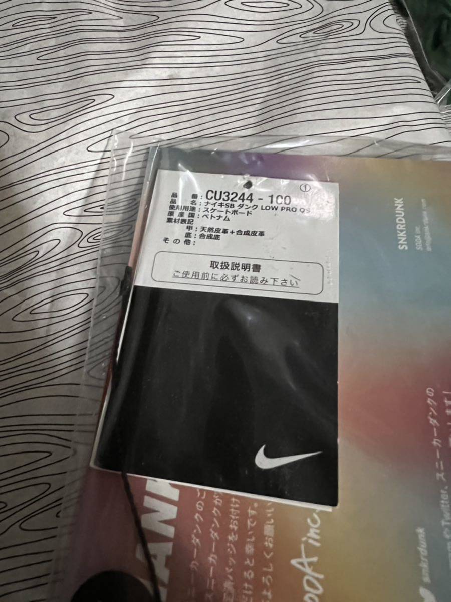 29cm BEN & JERRY'S × Nike SB Dunk Low Chunky Dunkyベン & ジェリーズ × ナイキSB ダンク ロー ベンジェリ US11_画像9