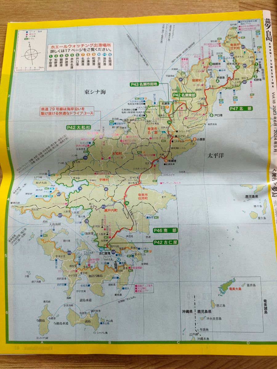 奄美　ガイド　クーポン　本　雑誌　地図　パンフレット　