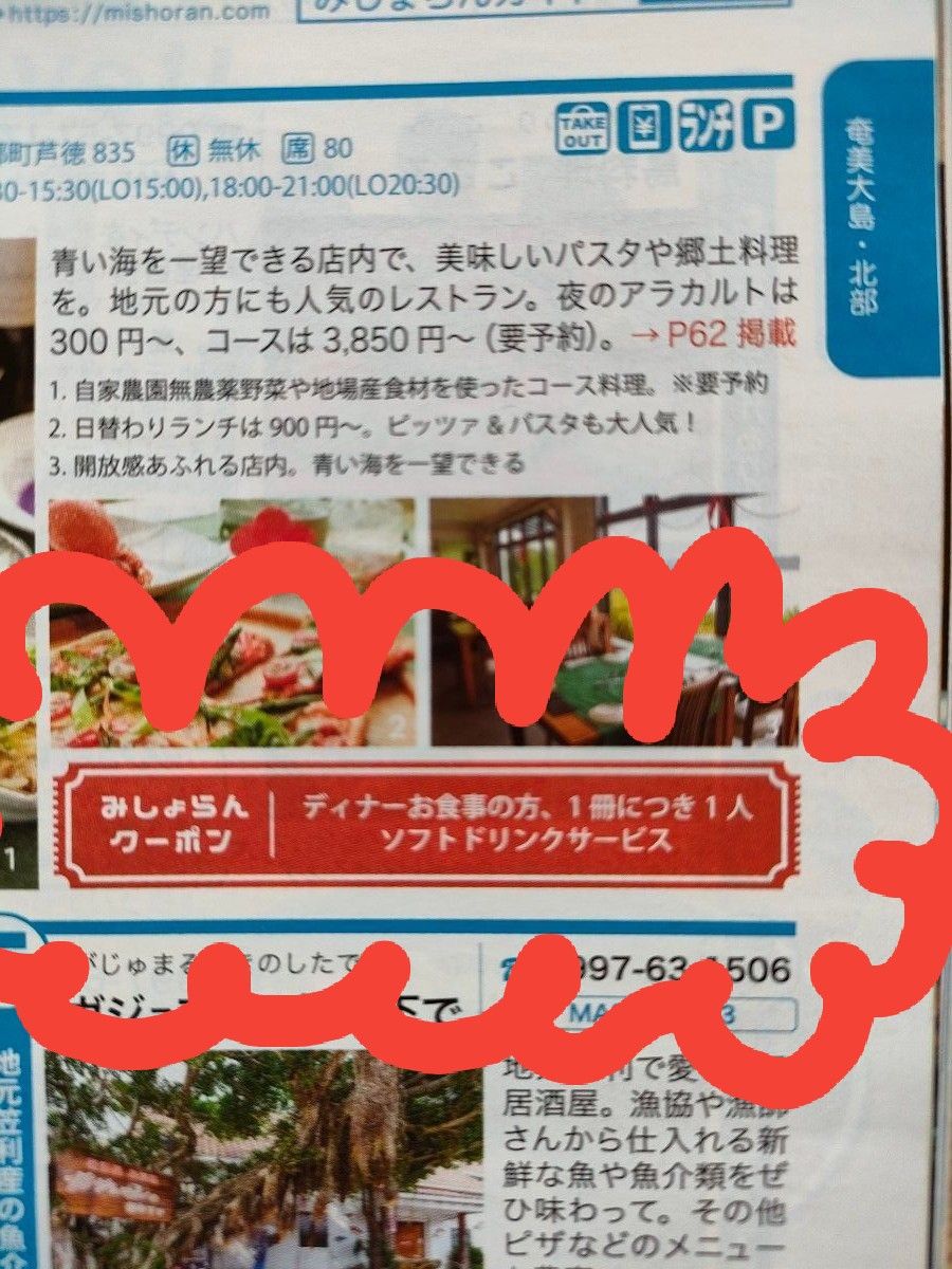 奄美　ガイド　クーポン　本　雑誌　地図　パンフレット　