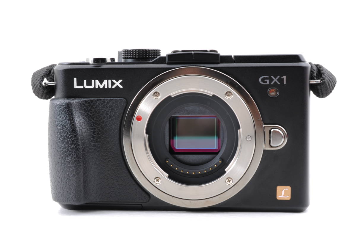 シャッター回数 2744回 動作品 パナソニック Panasonic LUMIX DMC-GX1 ルミックス ボディ ミラーレス一眼カメラ 充電器付 管N7333_画像2