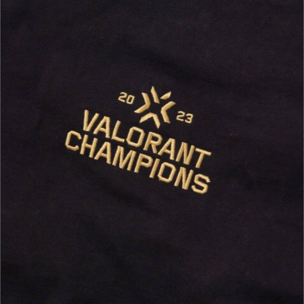 VR × VALORANT CHAMPIONS HOODIE vaultroom | nate-hospital.com