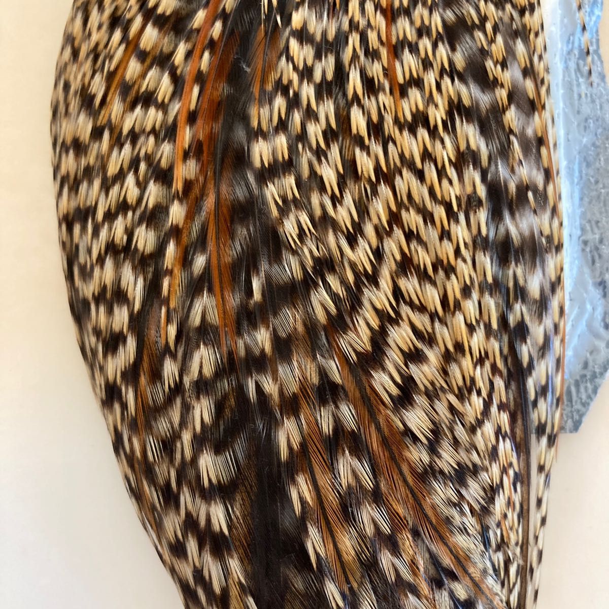 WHITING HEBERT MINER DRY FLY HACKLE ホワイティング ハックル WHITING HEBERT MINER DRY FLY HACKLE ホワイティング ハックル