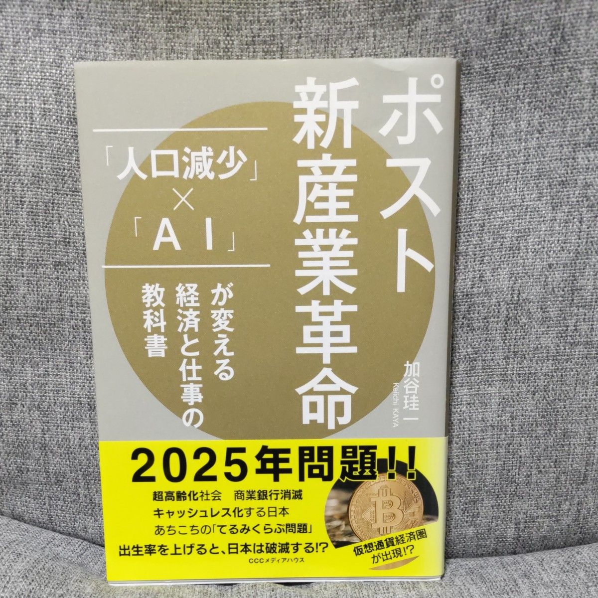 ポスト新産業革命　「人口減少」×「ＡＩ」が変える経済と仕事の教科書 加谷珪一／著