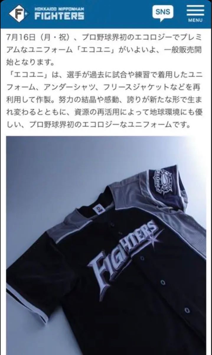 Bibian 比比昂 - 北海道 日本ハム ファイターズ ユニフォーム M Bibian 比比昂 - 北海道 日本ハム ファイターズ ユニフォーム M