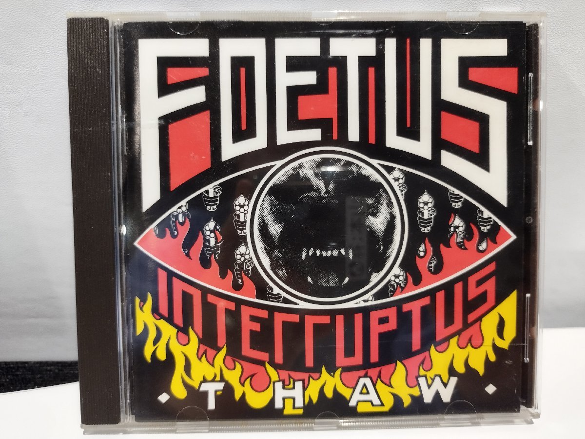 【CD】FOETUS INTERRUPTUS 'THAW' フィータス・インターラプタス【ac04f】の画像1