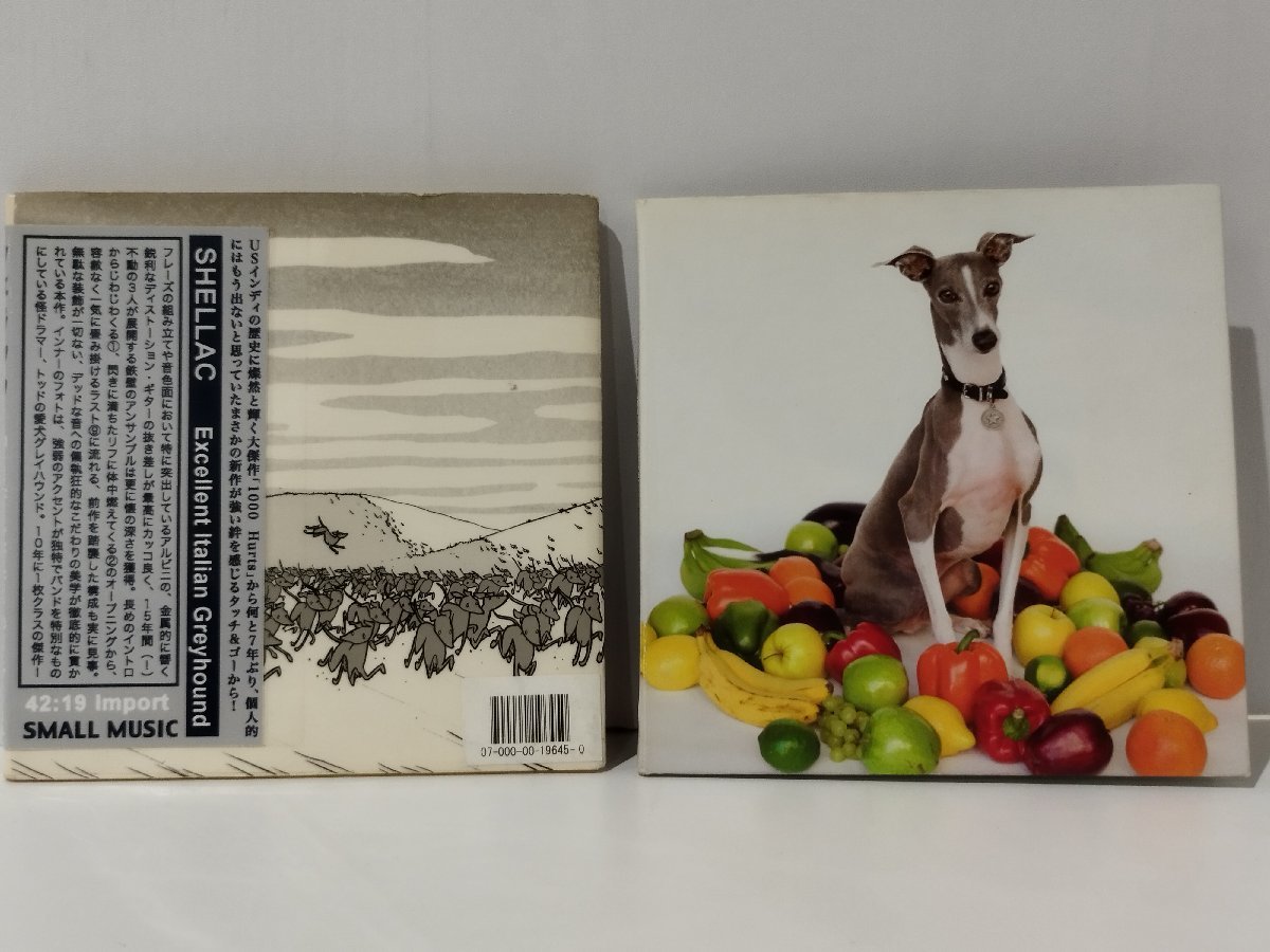 【CD】SHELLAC/シェラック Excellent Italian Greyhound【ac02g】の画像1