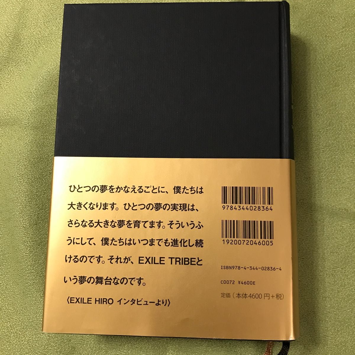 EXILE TRIBE   THE VISUAL DICTIONARY  初回限定版　オリジナルしおり付き