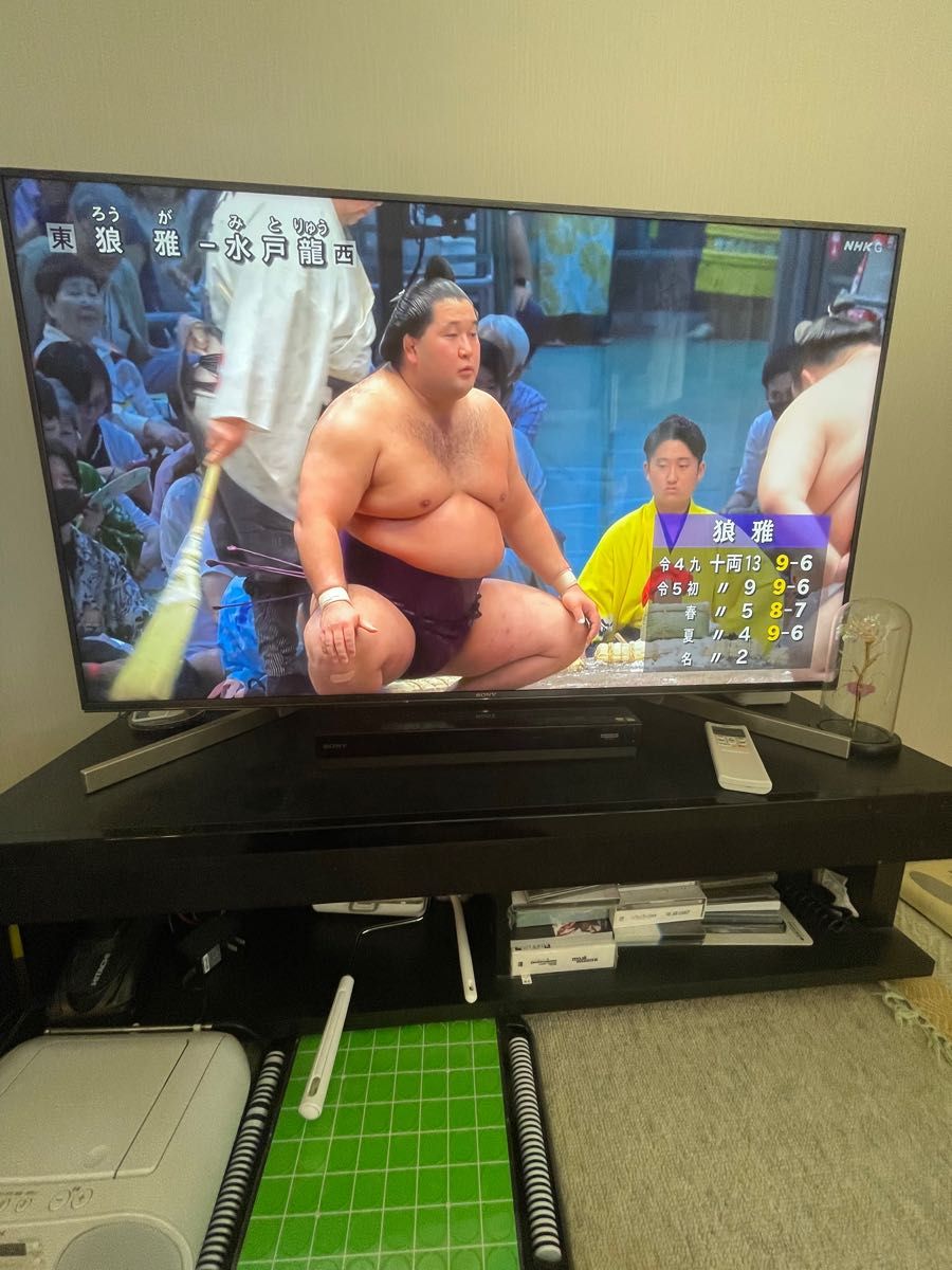 SONY BRAVIA X9000F KJ-49X9000F 質問　値下げ　希望ください！　できる限り対応します