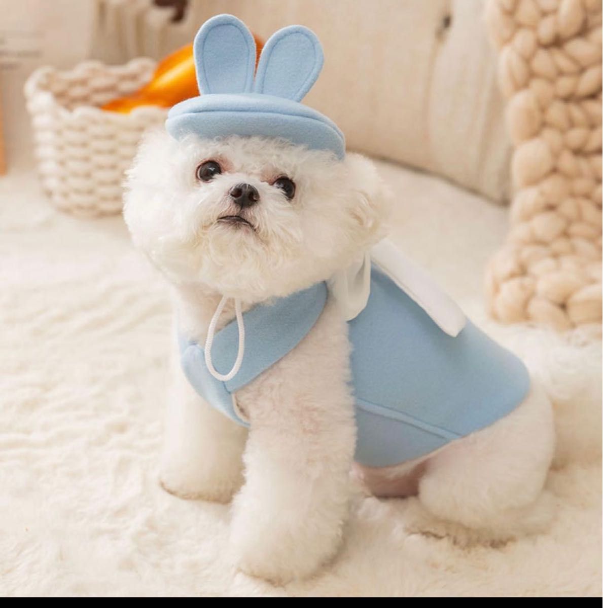 犬服 猫服 秋冬 ワンピース 帽子付きセット 可愛い 重ね着 リボン オシャレ