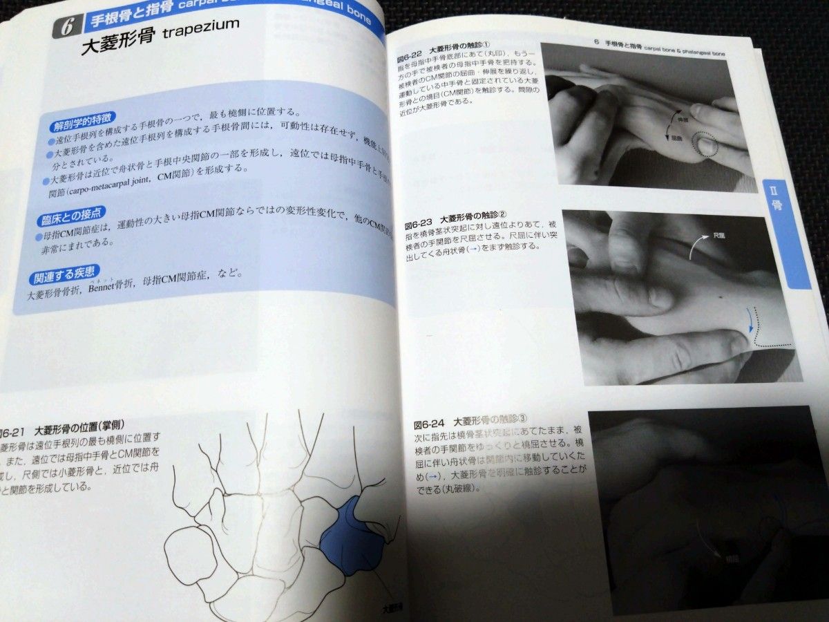 機能解剖学的触診技術上肢下肢2冊セット　理学療法士 運動療法作業療法士必見