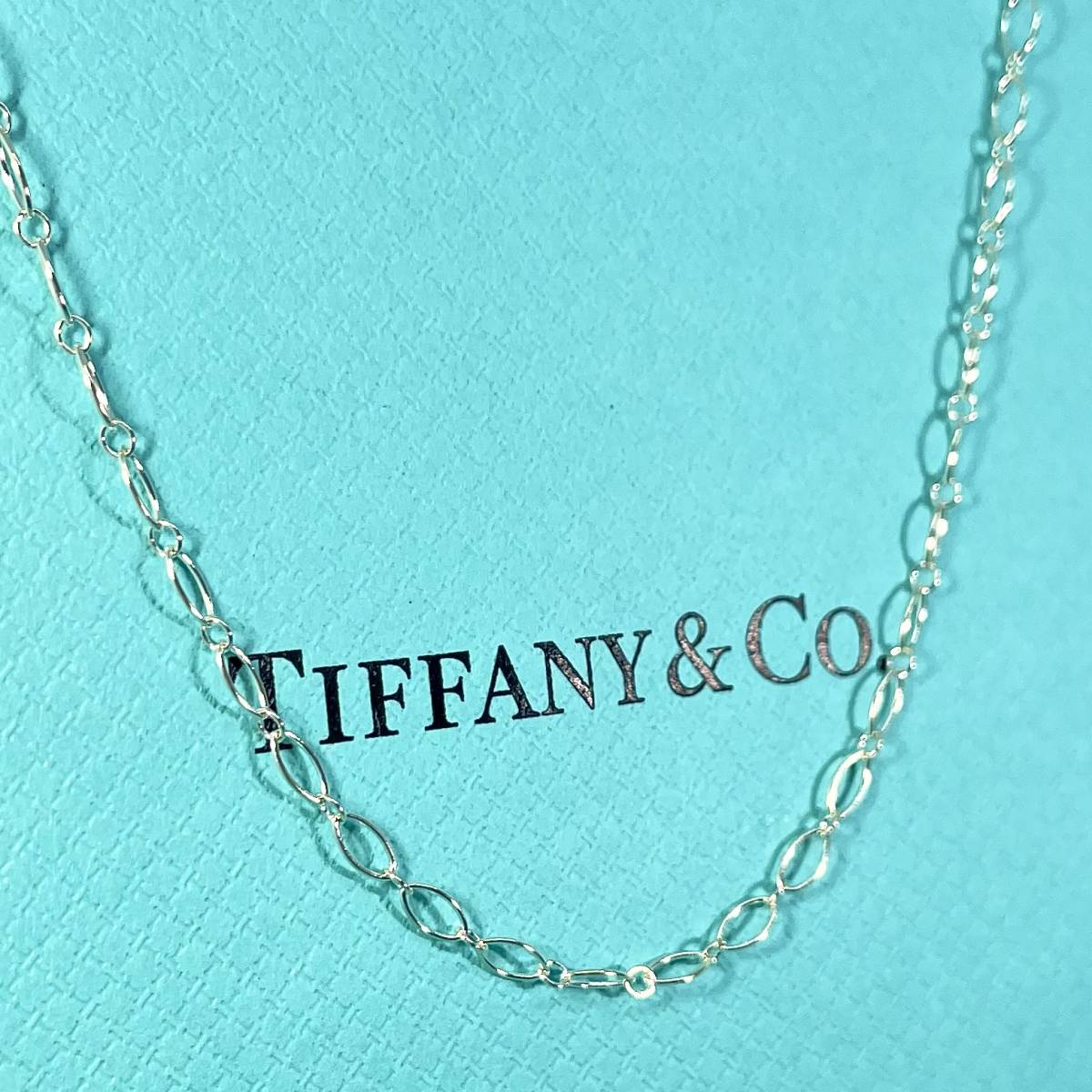 Tiffany ラージりんごロング チェーン ネックレス 希少美品 - ネックレス