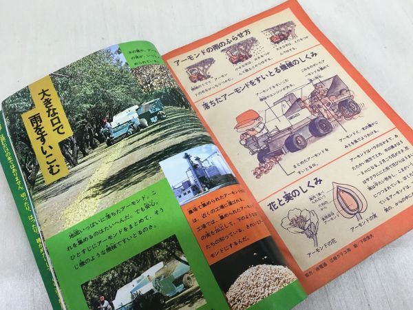 K178-30 / 4年の科学 1976/7 いもの育ち方／こん虫はばたき実験機 学研 学年別月刊科学教材 ※イタミありの画像3