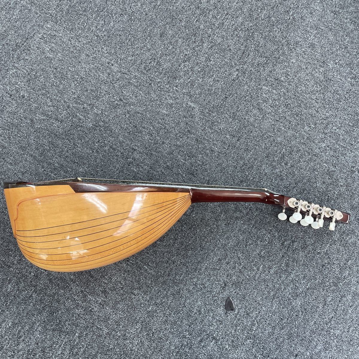 G10 NAGOYA SUZUKI VIOLIN　マンドリン　M-30　弦楽器　ハードケース付き_画像6
