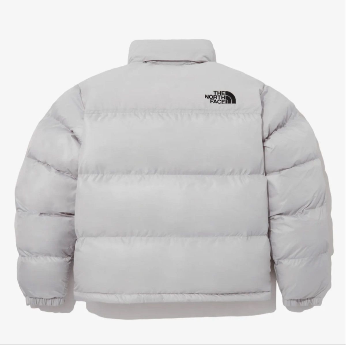 【韓国限定】THE NORTH FACE NUPTSE ヌプシ　M