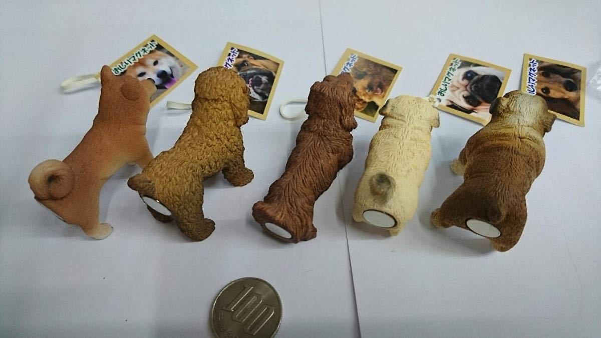 かわいい犬のおしりマグネット♪　フレンチブルドッグ　フレブル