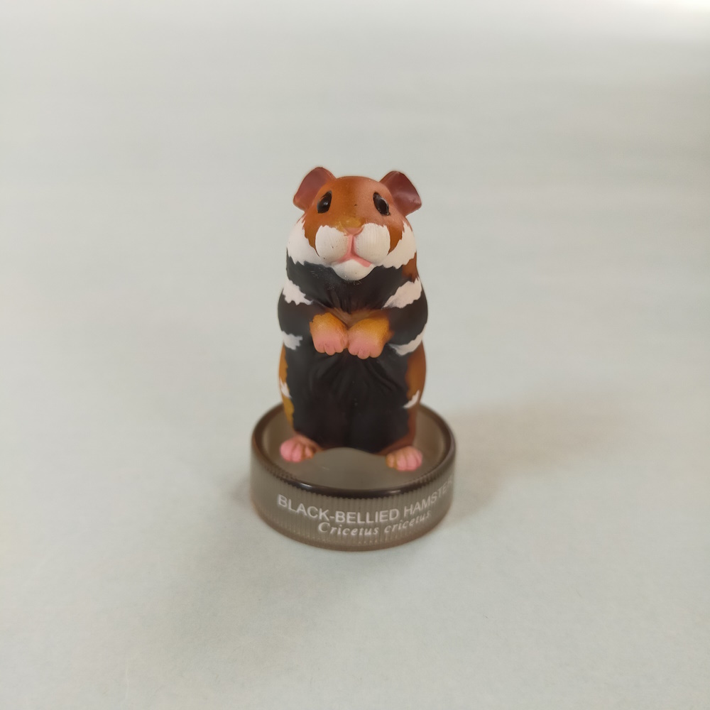ハムスターズランチ No.12 クロハラハムスター 2002 ハムスター フィギュアコレクション Black-Bellied Hamster 北陸製菓 ωの画像6