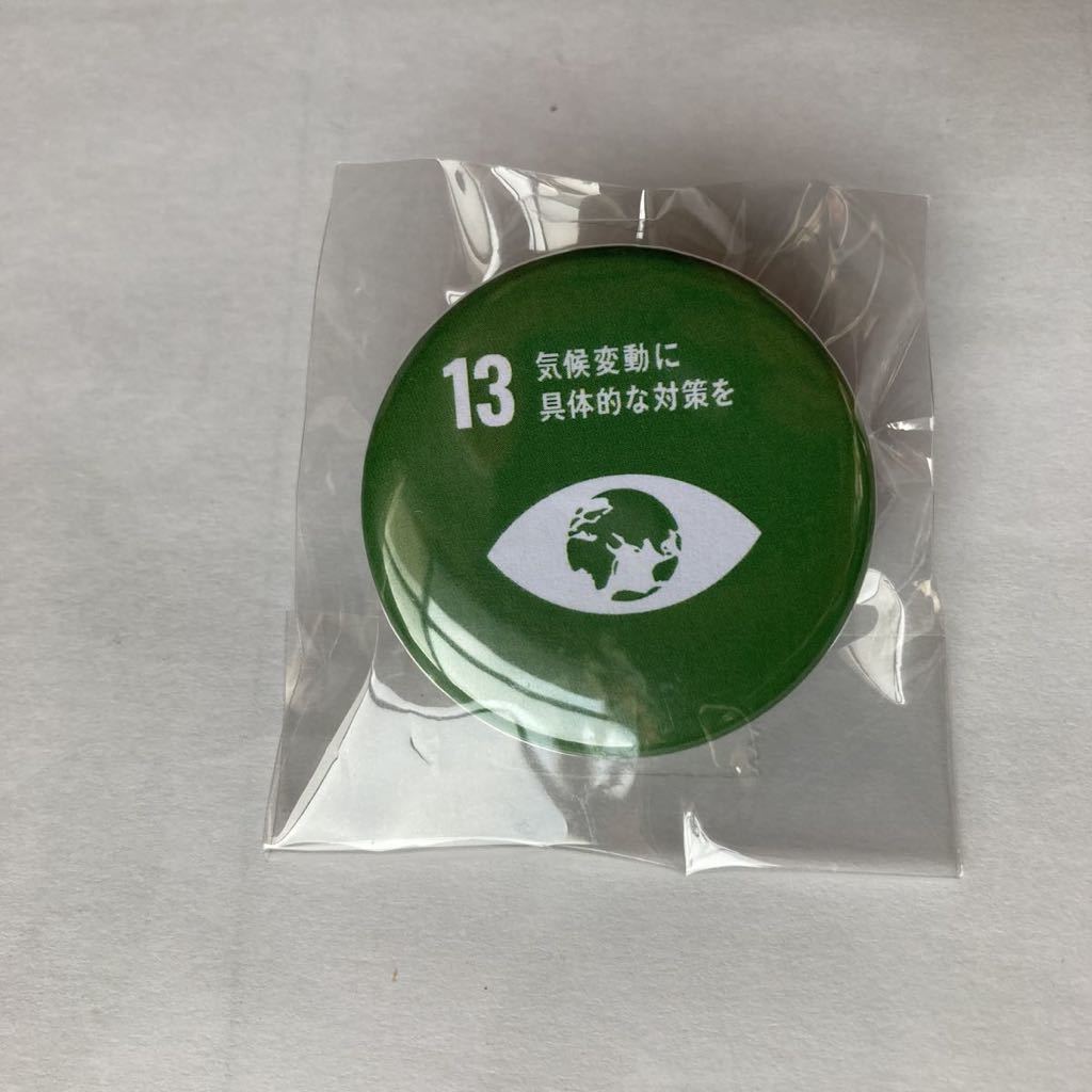 SDGs ピンバッジ 13 「気候変動に具体策な対応をの画像1