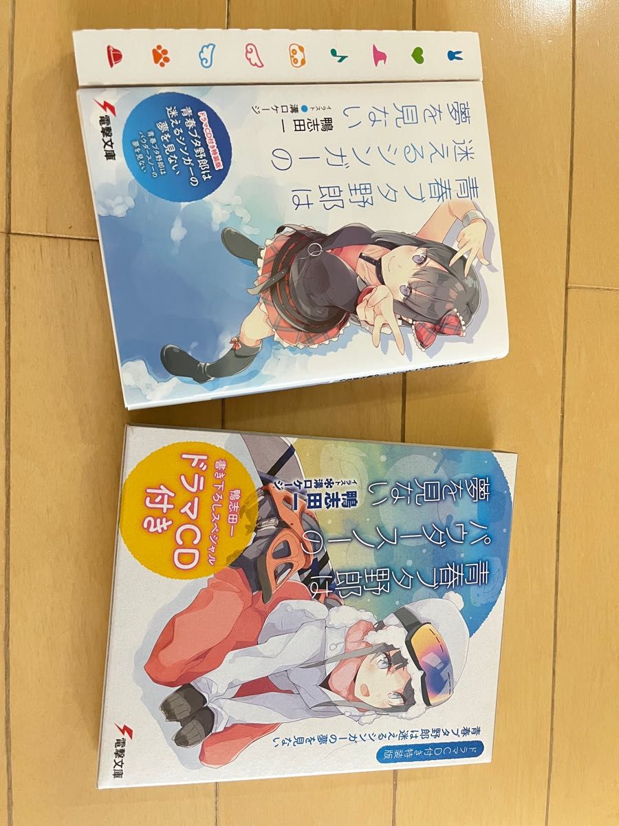 青春ブタ野郎は迷えるシンガーの夢を見ない - その他