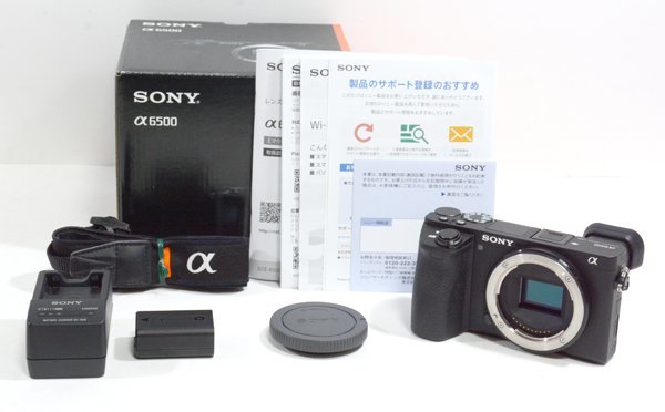 お気に入りの ☆極美品！SONY ソニー 元箱付！☆ ボディ ミラーレス