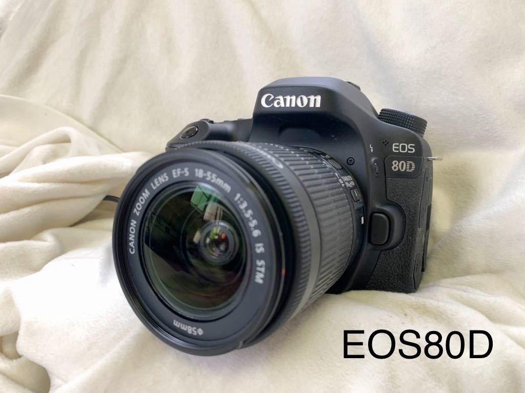 100%正規品 【動作確認済み】Canon EOS80D EF-S 18-55mm キャノン