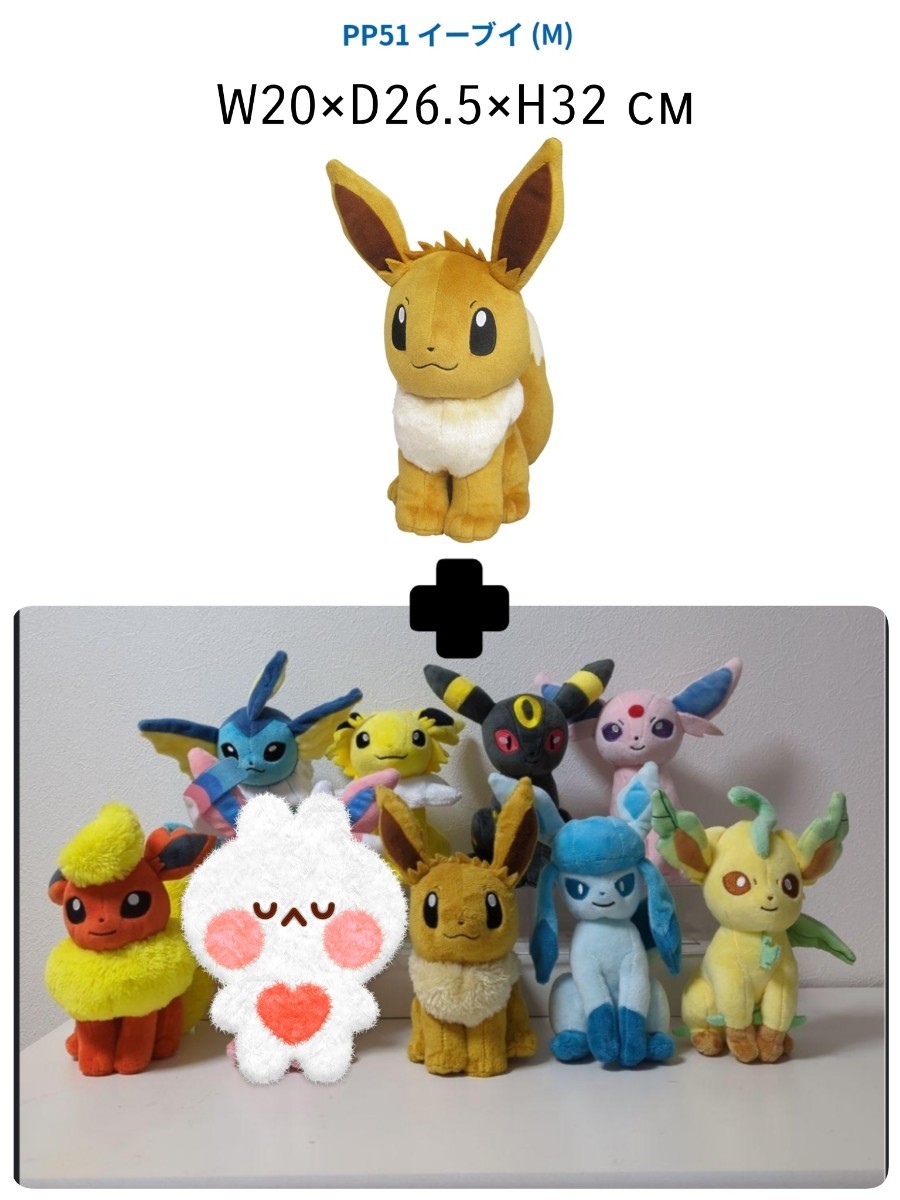本物の ポケットモンスター ポケモン Mサイズ ぬいぐるみ マスコット 三英貿易 ビッグサイズ イーブイフレンズ ブラッキー ブイズ ポケットモンスター 本物の ポケットモンスター ポケモン Mサイズ ぬいぐるみ マスコット 三英貿易 ビッグサイズ イーブイフレンズ ブラッキー ブイズ ポケットモンスター