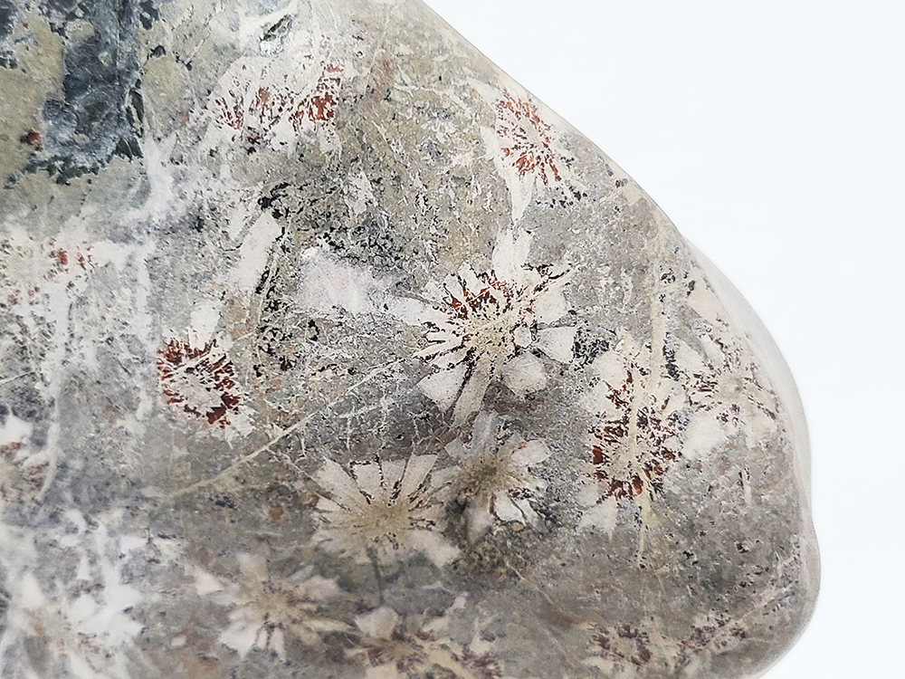 a 鑑賞石 菊花石 重量約7.3kg 台座付 飾り石 天然石 水石 原石