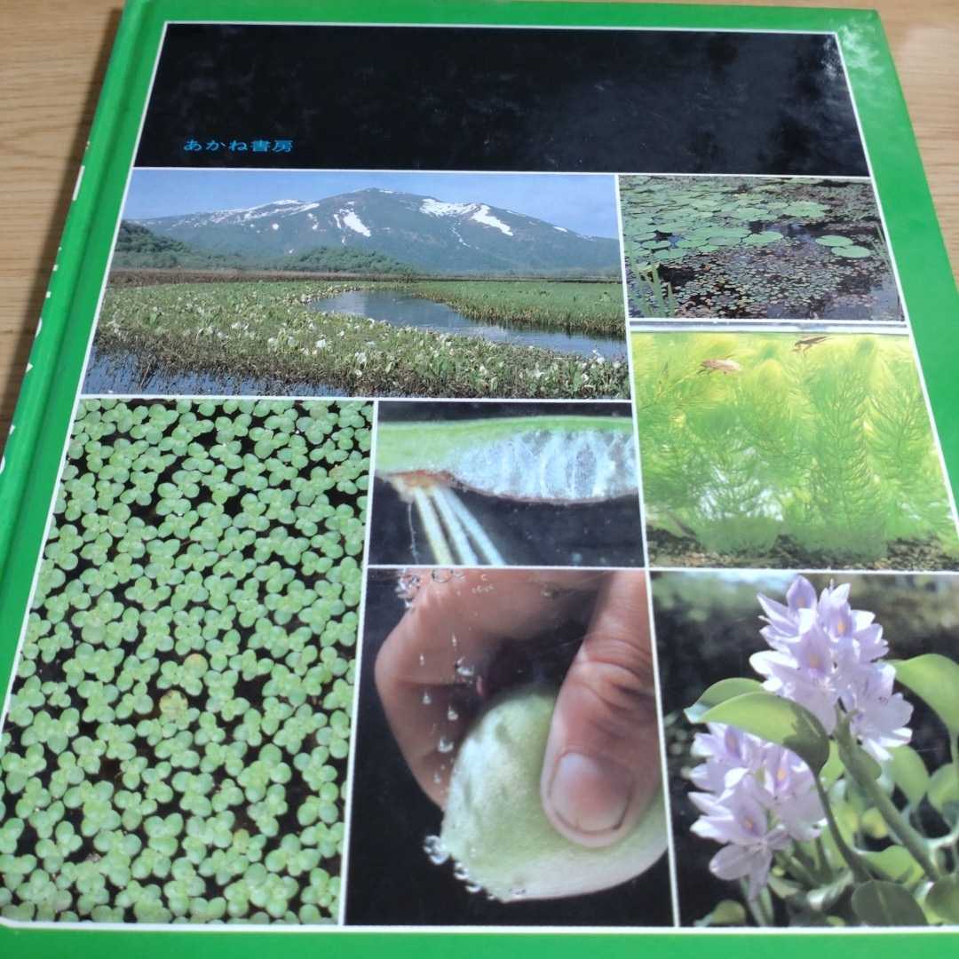 科学のアルバム　水草のひみつ　守矢登　あかね書房　中古本_画像2