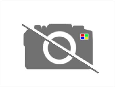 エアクリーナASSYのみ 17700-28341 ブレイド 用 トヨタ純正部品